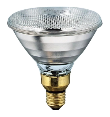 LAMPA SPECJALISTYCZNA PROMIENNIKOWA IR 175 175W E27 230V CLEAR 1szt. SIGNIFY