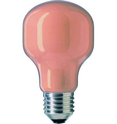 ŻARÓWKA DEKORACYJNA 60W T55 E27 230V AC BEŻ SIGNIFY SOF