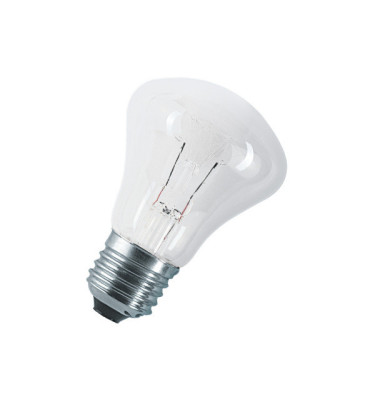LAMPA SPECJALISTYCZNA ŻAROWA A60 100W E27 235V AC 3000h